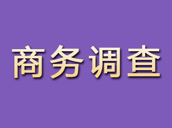 临沂商务调查